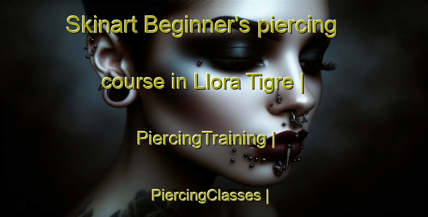 Skinart Beginner's piercing course in Llora Tigre | PiercingTraining | PiercingClasses | SkinartTraining-Ecuador